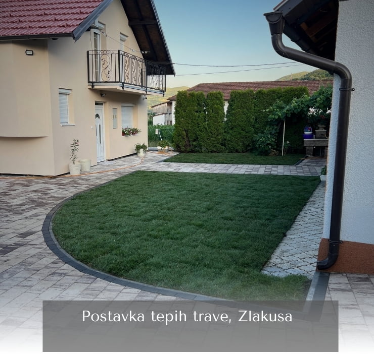 Postavljanje tepih trave