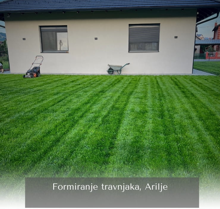 Zasnivanje travnjaka setvom Arilje